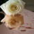 Plexi lustro gold rose 1mm ALUPLEXI