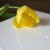 Plexi biała połysk do cięcia 3mm 600x400mm | ALUPLEXI