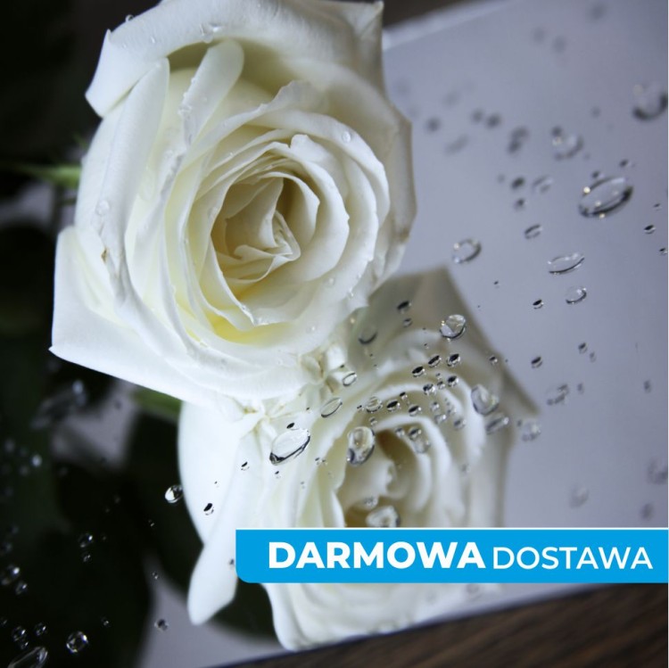 Plexi lustro srebrne 1 mm 300×200 mm – pakiet BIZNES 200 sztuk darmowa dostawa | ALUPLEXI