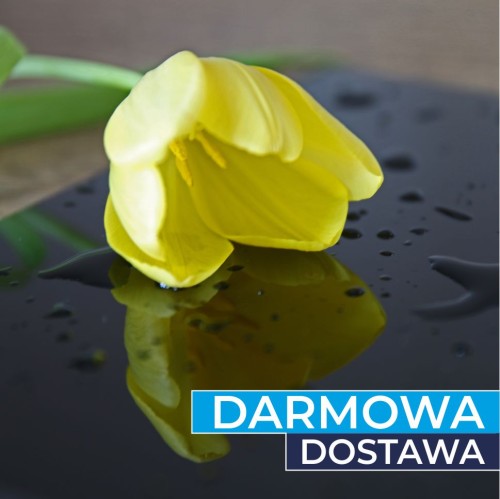 Plexi czarna połysk 3mm 1000x600mm - pakiet 12 sztuk z darmową dostawą | ALUPLEXI