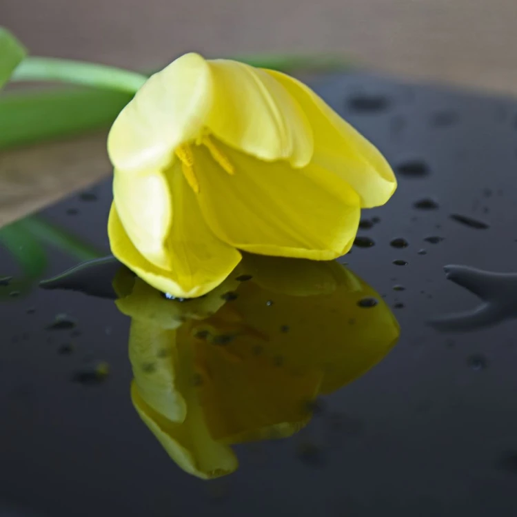 Plexi czarna połysk 3mm 250x200mm | ALUPLEXI